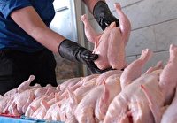 بازار مرغ را با تولید تنظیم کنید نه واردات