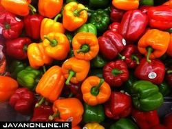 فواید باورنکردنی فلفل دلمه‌ای‌های رنگارنگ
