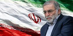 دشمن با ترور دانشمندان ایرانی، نمی تواند کشور را از راه پیشرفت و توسعه بازدارند