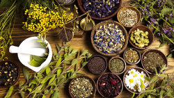 ۸۵ کارآزمایی بالینی در حوزه طب سنتی و گیاهان دارویی
