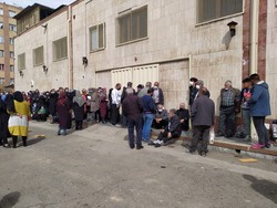 دولت تسلیم مرغداران شد