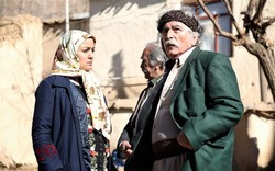 در اوج موفقیت