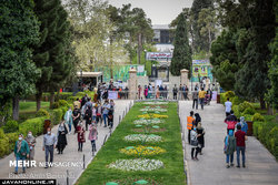 سرخی شهر‌ها، سوغات کرونایی مسافران