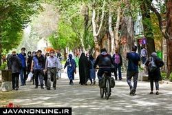 آیا سنگ فرش‌های ولیعصر به محیط زیست آسیب می‌زند؟