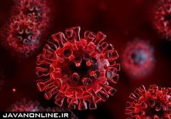 ارتباط وجود همزمان بیماری‌های مزمن با مرگ‌های کرونایی
