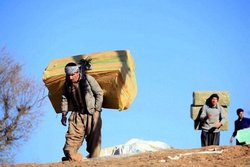 ایجاد ۱۵ هزار شغل جدید برکت برای کولبران