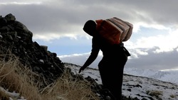 تدارک ۱۵ هزار شغل جدید برکت برای کولبران