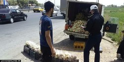 طرح برخورد پلیس با فروشندگان سیار کلید خورد
