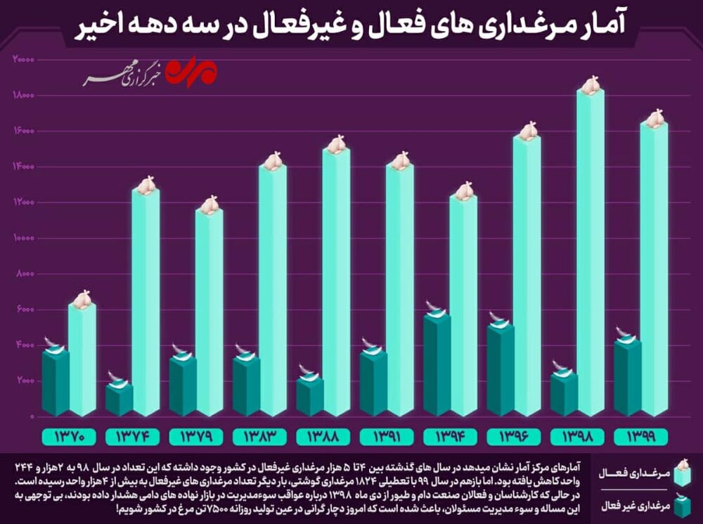 مرغ چرا گران شد؟