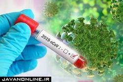 ارتباط عدم تحرک فیزیکی با ابتلا به نوع شدیدتر کرونا
