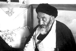 کتابی که جان گرفت!