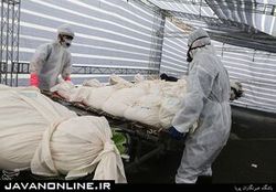 آمار جانباختگان روزانه کرونا در تهران