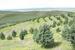 کسب رتبه برتر کشوری توسط اداره کل منابع طبیعی و آبخیزداری خراسان رضوی