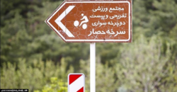 چرای گوسفندان در یکی از بوستان‌های تهران!