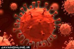 ابتلا به کرونا در مقابل ابتلا مجدد پیشگیری می‌کند؟