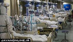 چند درصد بیماران کرونایی در ICU دچار سکته مغزی می‌شوند؟