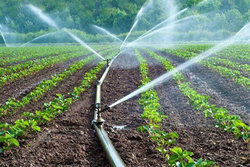 آبیاری های نوین نسخه ای برای احیای زمین های کشاورزی