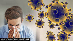 سرماخوردگی به مقابله با کرونا کمک می‌کند