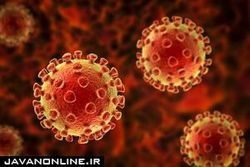 بزرگترین و اصلی‌ترین خطر اُمیکرون