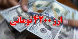 برنامه مکتوب دولت برای ارز ترجیحی تقدیم مجلس شد