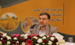 مجلس به حذف یکباره ارز ترجیحی رای نمی‌دهد