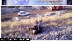 جزییات کشف یک جسد کنار خط آهن پرند
