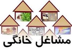 اجرای ۲۴۳ طرح مشاغل خانگی در لرستان