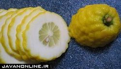 میوه‌ای که خاصیت ضد سم دارد