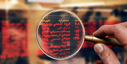 بازار سرمایه زیر ذره‌بین قوه قضائیه