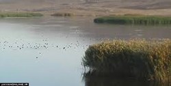 رئیس پلیس راهور تهران: سالانه ۱۸ درصد رشد خودرو داریم