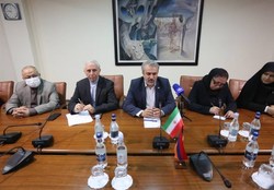 آمادگی ایران در سرمایه&zwnj;گذاری مشترک برای تولید خودرو در ارمنستان