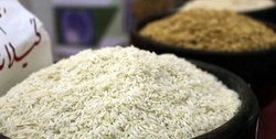 برنج&zwnj;های احتکار شده با نرخ مصوب در بازار توزیع شود