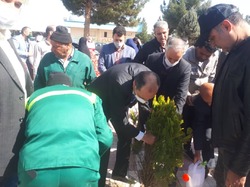 برگزاری آیین رویش لاله ها در روز درختکاری