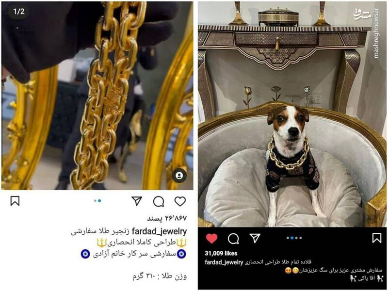 قلاده طلای سگ ۵۰۰ میلیون تومان +عکس