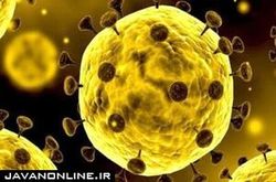 گرما ویروس کرونا را در کمتر از یک ثانیه از بین می‌برد