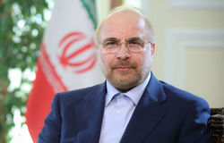 مجلس حامی سهامداران خرد بورس است