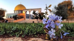 آزادی قدس را روایت خواهیم کرد