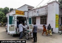 مشاهده یک بیماری عفونی نادر در هند در بحبوحه جولان کرونا