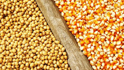 واگذاری دولت با انبار‌های خالی از ذخایر استراتژیک کالا!