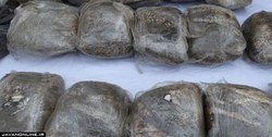 کشف بیش از ۱۱۷۷ تُن انواع مواد مخدر در سال گذشته