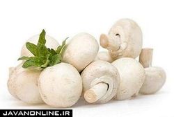 ارتباط مصرف قارچ با کاهش خطر ابتلا به سرطان