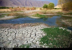 جلوگیری از کشت برنج و انسداد چاه‌ها برای جبران کم آبی کرمانشاه