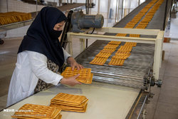 فروش نان صنعتی بر مبنای گندم ۲۰ هزارتومانی!