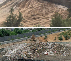 پاکسازی و گندزدایی ایستگاه انتقال پسماند خلج آباد کرج