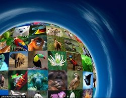 تنوع زیستی در محاصره مخاطرات خشکسالی