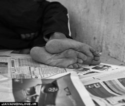 گلایه از عدم واکسیناسیون کارتن خواب‌ها