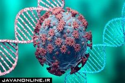 انواع نگران کننده کرونا کدامند؟