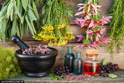 شربت‌های طب سنتی برای جلوگیری از گرمازدگی