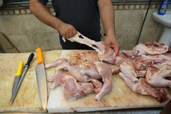 تحویل دولت با انبار خالی!