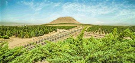 افزایش 90 درصدی بهره‌وری در حوزه محیط‌زیست با طرح تحول دیجیتال